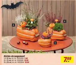 toom Baumarkt Kürbis-Arrangement Angebot