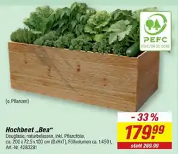 toom Baumarkt Hochbeet „Bea“ Angebot