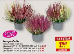 toom Baumarkt Garden Girls Knospenheide Angebot