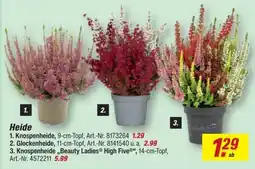 toom Baumarkt Heide Angebot