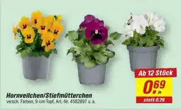 toom Baumarkt Hornveilchen/Stiefmütterchen Angebot