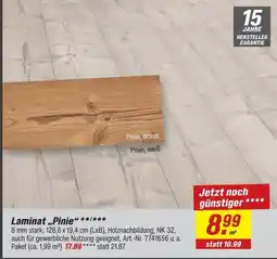 toom Baumarkt Laminat „Pinie“ Angebot