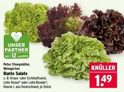 Wasgau Bunte Salate Angebot