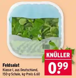 Wasgau Feldsalat Angebot