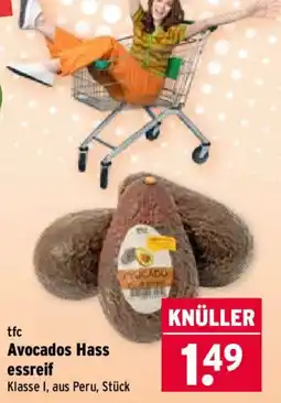 Wasgau tfc Avocados Hass Angebot