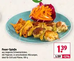 Wasgau Feuer-Spieße Angebot