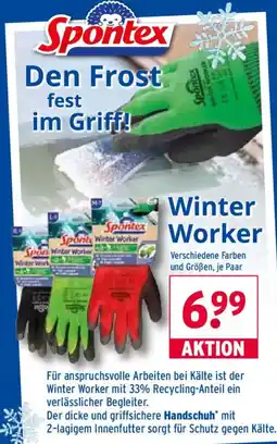 Wasgau Spontex Winter Worker Angebot