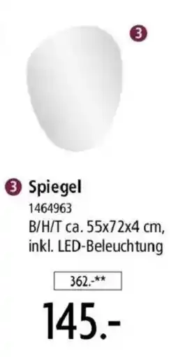 Zurbrüggen Spiegel Angebot