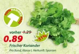 Hepsi-Markt Frischer Koriander Angebot