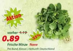 Hepsi-Markt Frische Minze Nane Angebot