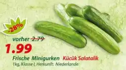 Hepsi-Markt Frische Minigurken Kücük Salatalik Angebot