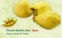 Hepsi-Markt Frische Quitten, lose Ayva Angebot