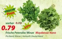 Hepsi-Markt Frische Petersilie/Minze Maydanoz/Nane Angebot