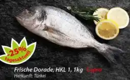 Hepsi-Markt Frische Dorade Angebot