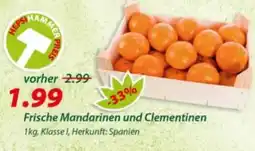 Hepsi-Markt Frische Mandarinen und Clementinen Angebot