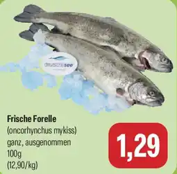 Feneberg Frische Forelle Angebot