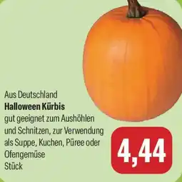 Feneberg Halloween Kürbis Angebot