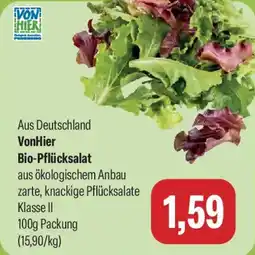 Feneberg VonHier Bio-Pflücksalat Angebot