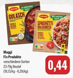 Feneberg Maggi Fix Produkte Angebot