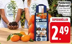 Edeka Mandarinen „Nadorcott" Angebot