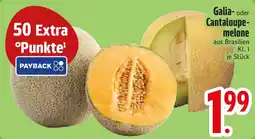 Edeka Galia oder Cantaloupemelone Angebot