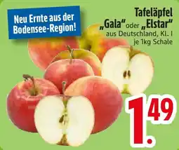 Edeka Tafeläpfel „Gala“ oder „Elstar" Angebot