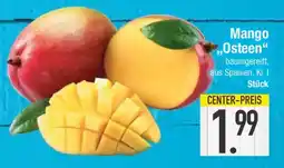 E-Center Mango "Osteen" Angebot