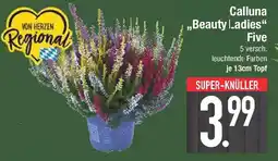 E-Center Calluna „Beauty Ladies“ Five Angebot