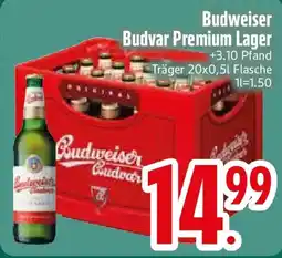 Edeka Budweiser Budvar Premium Lager Angebot