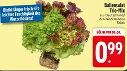 Edeka Ballensalat Trio-Mix Angebot