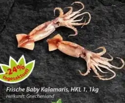 Hepsi-Markt Frische Baby Kalamaris Angebot