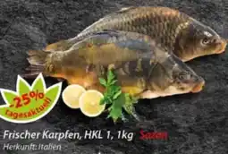 Hepsi-Markt Frischer Karpfen Angebot