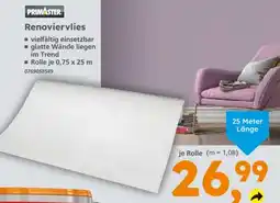 Globus Baumarkt PRIMASTER Renoviervlies Angebot