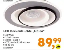 Globus Baumarkt LED Deckenleuchte „Malea“ Angebot