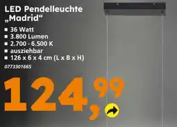 Globus Baumarkt LED Pendelleuchte "Madrid" Angebot