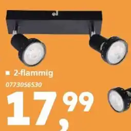 Globus Baumarkt 2-flammig Angebot