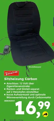 Globus Baumarkt Sitzheizung Carbon Angebot
