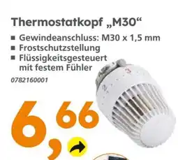 Globus Baumarkt Thermostatkopf „M30“ Angebot