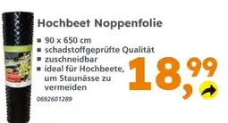 Globus Baumarkt Hochbeet Noppenfolie Angebot