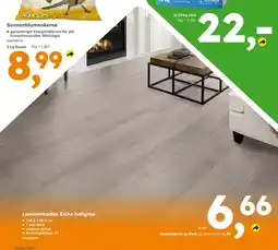 Globus Baumarkt Laminatboden Eiche hellgrau Angebot