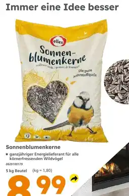 Globus Baumarkt elles Sonnenblumenkerne Angebot