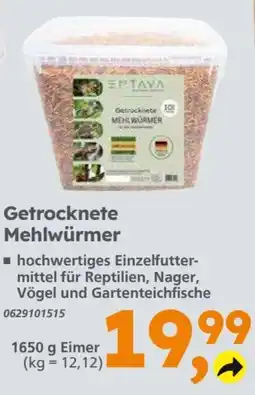 Globus Baumarkt EPTAVA Getrocknete Mehlwürmer Angebot