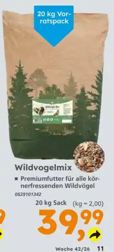Globus Baumarkt Wildvogelmix Angebot