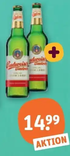 tegut Budweiser Budvar Angebot