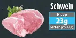 EDEKA Wucherpfennig Schwein Angebot