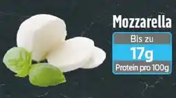 EDEKA Wucherpfennig Mozzarella Angebot
