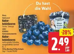 EDEKA Wucherpfennig SanLucar Kultur-heidelbeeren Angebot
