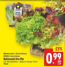 EDEKA Wucherpfennig EDEKA Herzstücke Ballensalat-Trio-Mix Angebot