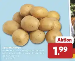 Combi Speisekartoffeln Angebot