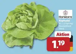 Combi HOFWERTE Kopfsalat Angebot